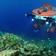 Deep Reef Observation Project (DROP) 