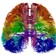 New Maps May Hold Clues to Brain Mysteries